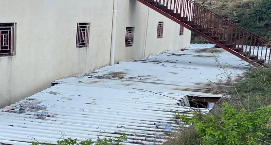 بالصور.. سقوط بقرة من سقف مدرسة بجبال الحشر في جازان