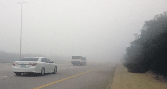 نصائح لقيادة آمنة أثناء الضباب في الشتاء