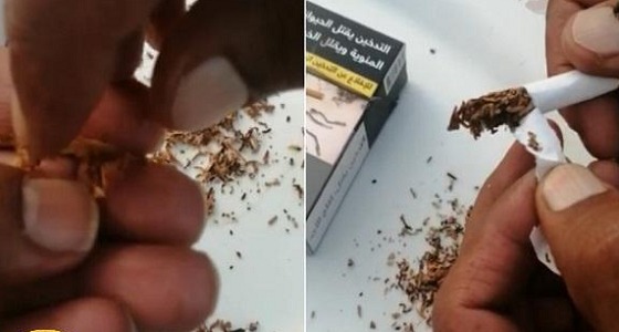 شاهد.. مواطن يفاجأ بـ «نشارة خشب» في السجائر الجديدة