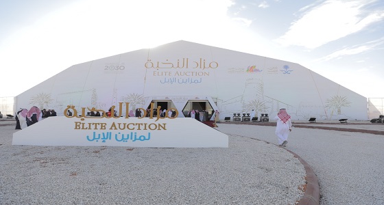 تأجيل مزاد النخبة للأربعاء 11 ديسمبر