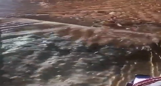 بالفيديو.. جريان السيول في الحريق جنوب غرب الرياض