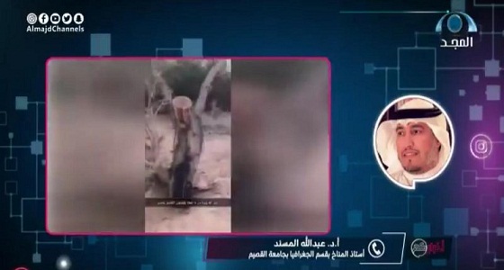 بالفيديو.. «المسند» يضع حلًا لمجازر الأشجار (الاحتطاب الجائر)