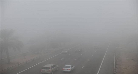 8 مناطق على موعد من الأمطار والضباب غدًا