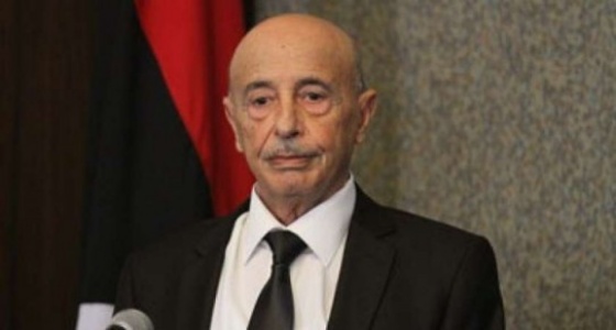 عقيلة صالح يعلن عزمه طلب تدخل الجيش المصري في ليبيا