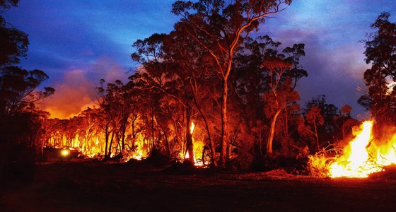 إطفاء حرائق أستراليا بالأمطار