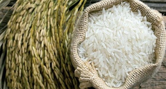 سعر طن الأرز يقفز إلى 1100 دولار في 3 شهور