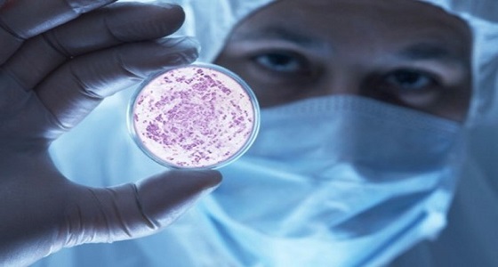 اكتشاف بكتيريا تمنع التوتر وتعالج الضغط النفسي