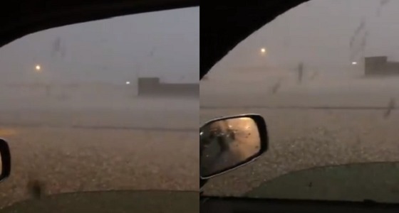 بالفيديو.. الجراد يتساقط بقوة المطر في الشمالية