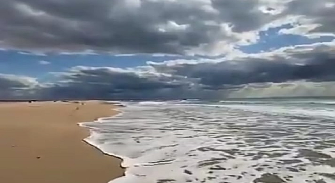 بالفيديو.. شواطئ تبوك تتحدى الغيوم!