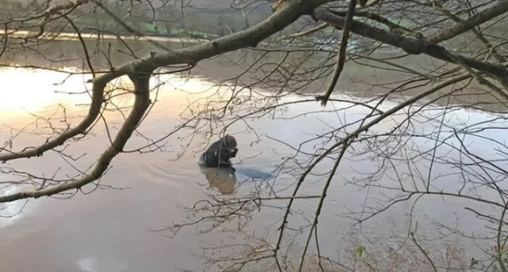 بالصور.. مُسن ينقذ حياة سيدة من الموت «متجمدة»