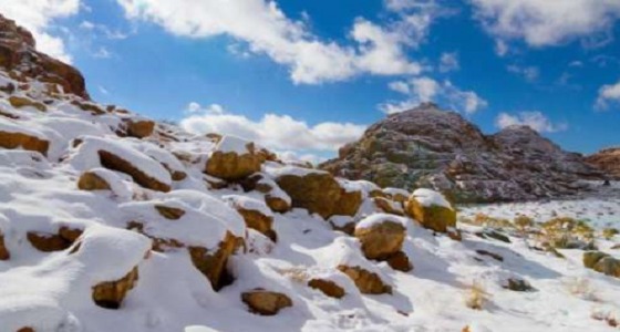 بالفيديو.. تساقط الثلوج على جبل اللوز في تبوك