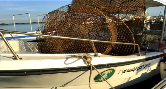 بالصور.. ضبط 7 صيادين بحوزتهم أدوات صيد مخالفة في جدة