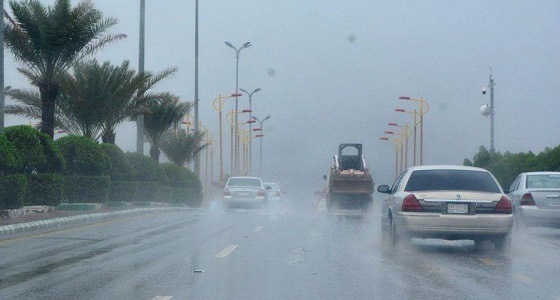 بالفيديو.. هطول أمطار على عدد من مناطق المملكة