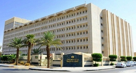 وزارة العدل توضح طريقة إصدار الوكالة الإلكترونية للمتواجدين في القاهرة