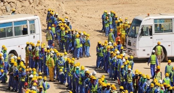 عمال كأس العالم ينتفضون في قطر بعد موت أكثر من 2000 غدرًا ( فيديو)