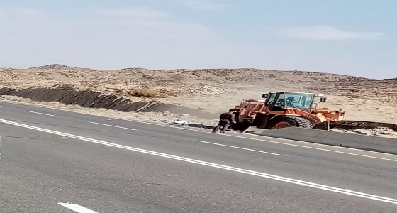 بلدية خميس مشيط تستعيد أكثر من 10000 م٢ من الأراضي الحكومية التي تم التعدي عليها