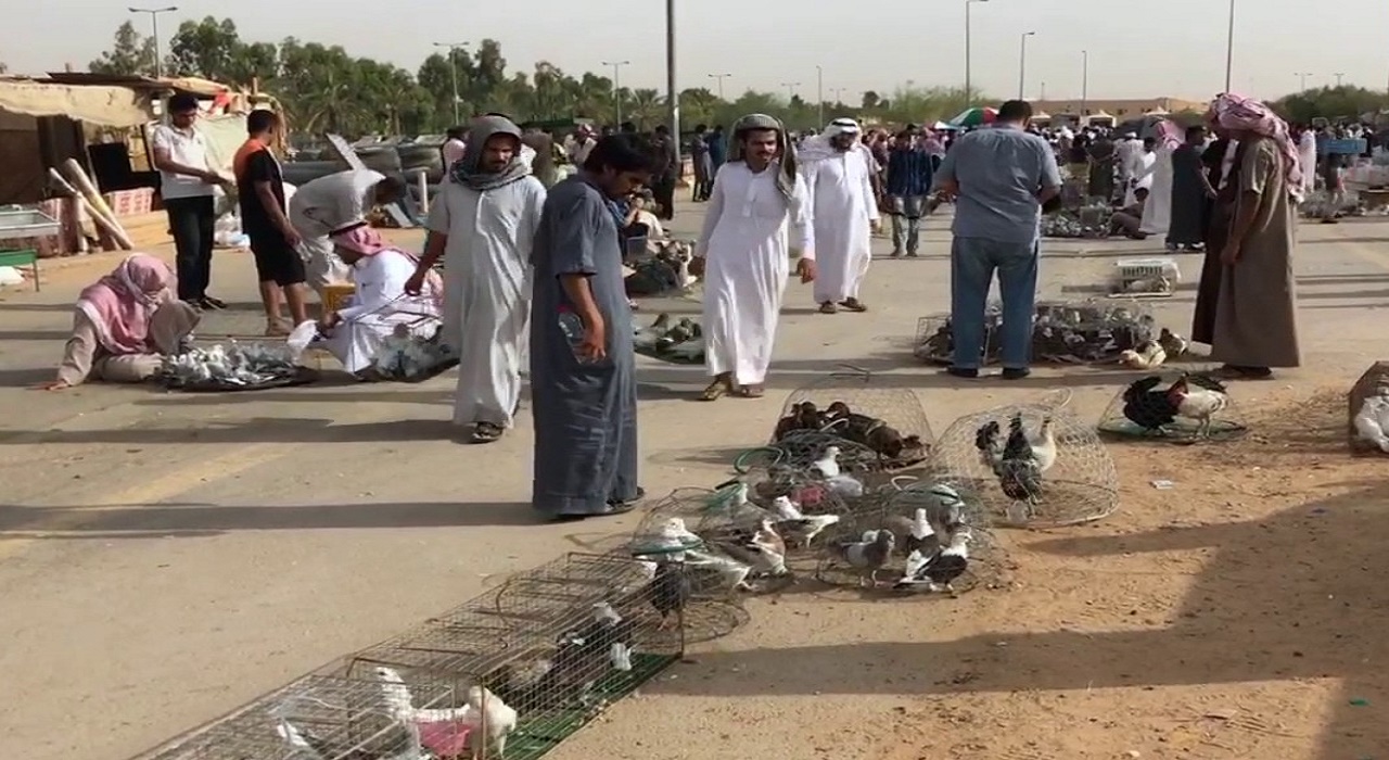 إغلاق أسواق الطيور بمدينة بريدة وكافة محافظات المنطقة