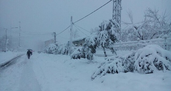 بالصور..الثلوج تقتل 15 إيرانيًا