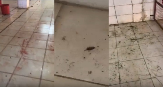بالفيديو..حشرات وديدان في مسلخ بلا طبيب بيطري