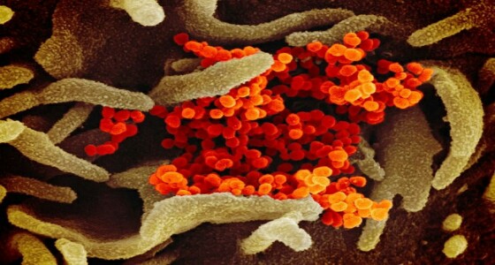 إيطاليا تسجل 16 إصابة بفيروس كورونا في يوم واحد