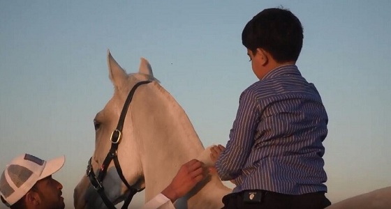 ولي عهد دبي يُهدي حصانًا لطفل من المملكة مولع بالخيول