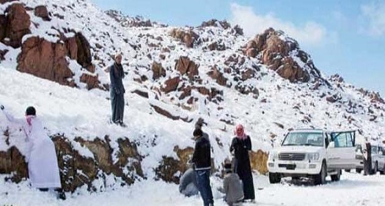 بالفيديو.. تساقط ثلوج على جبل اللوز في تبوك