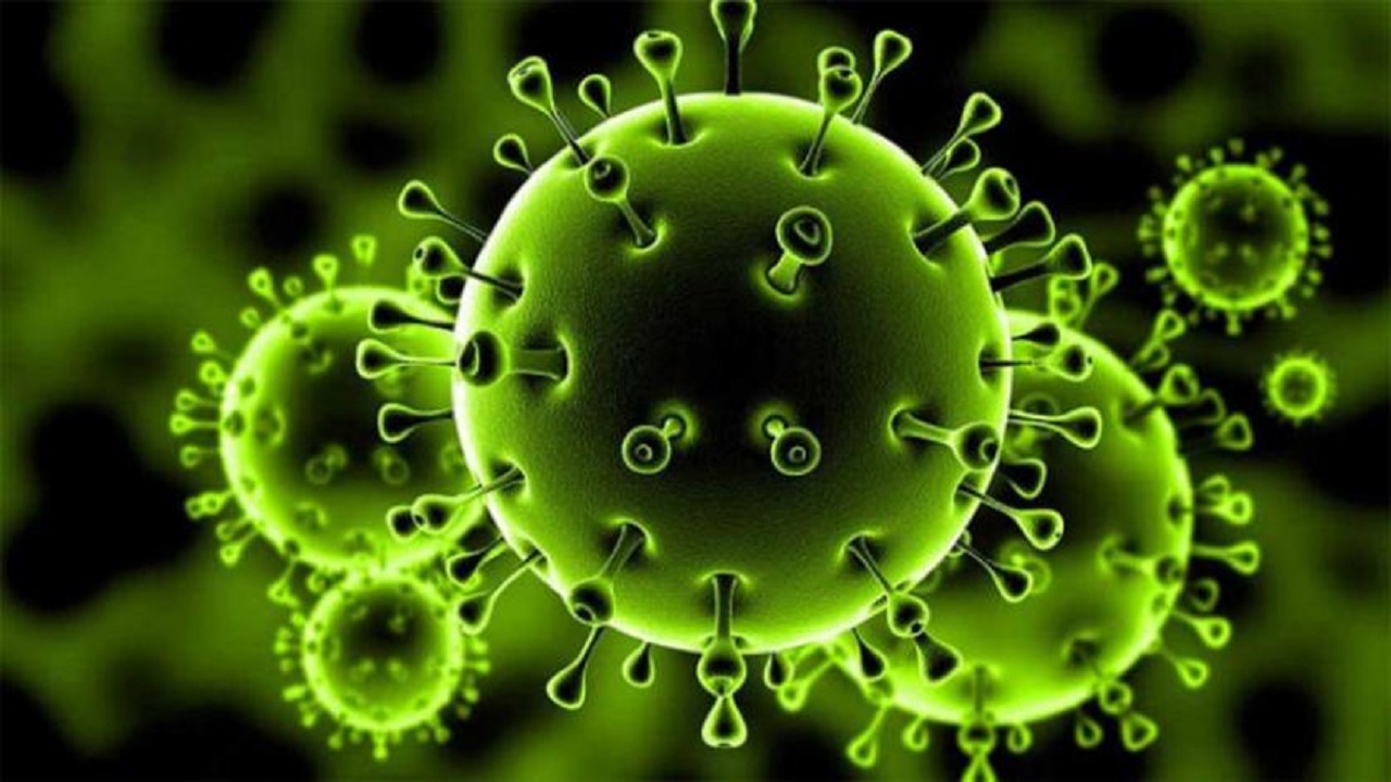 عالم فيروسات: إعلان الصحة العالمية أن كورونا وباء يعني سرعة انتشاره فقط (فيديو)