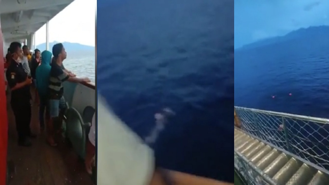 ركاب سفينة يلقون بأنفسهم في البحر خوفًا من انتقال العدوى إليهم (فيديو)