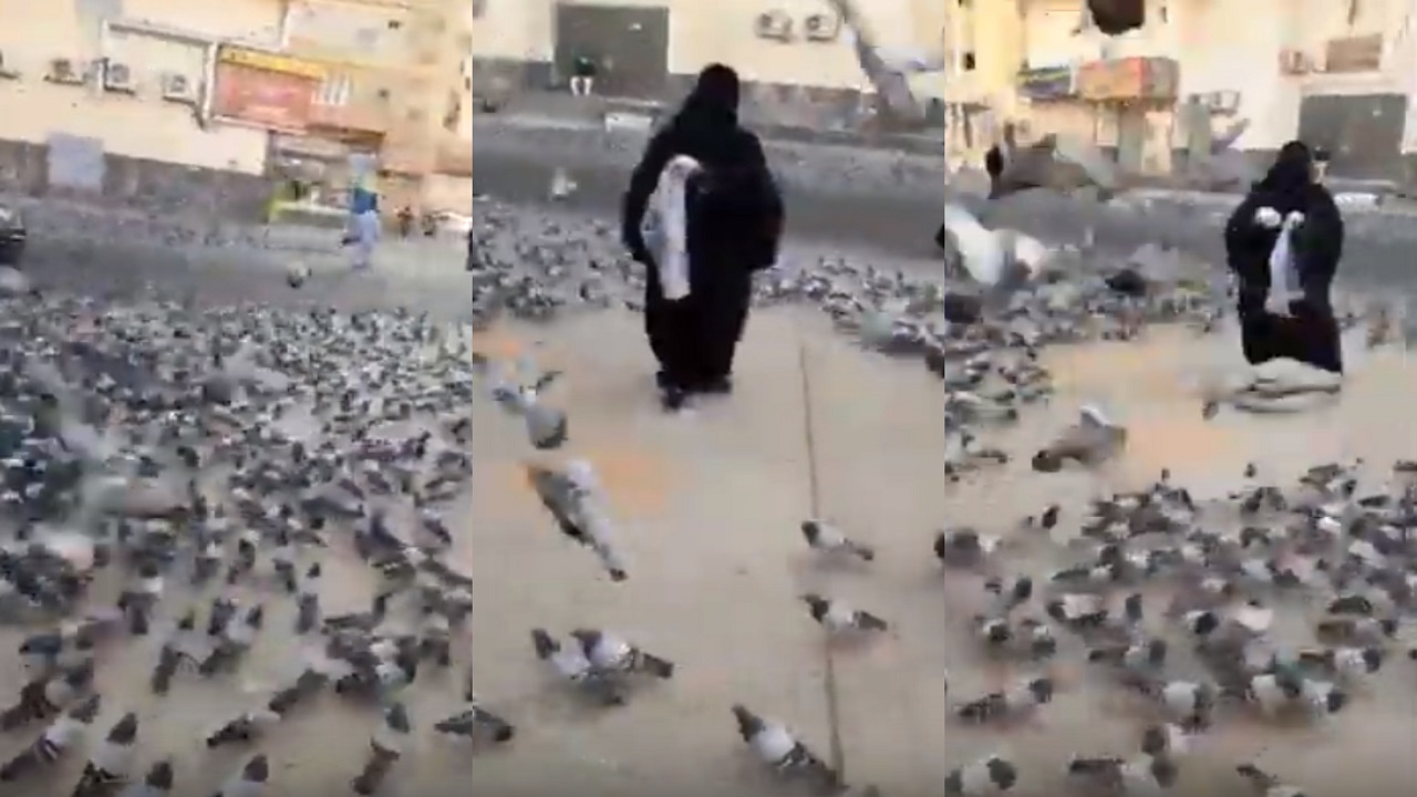 بالفيديو..مواطنة تُطعم الحمام في شوارع مكة داعية الله ألا يحرمها من &#8221; التراويح &#8220;