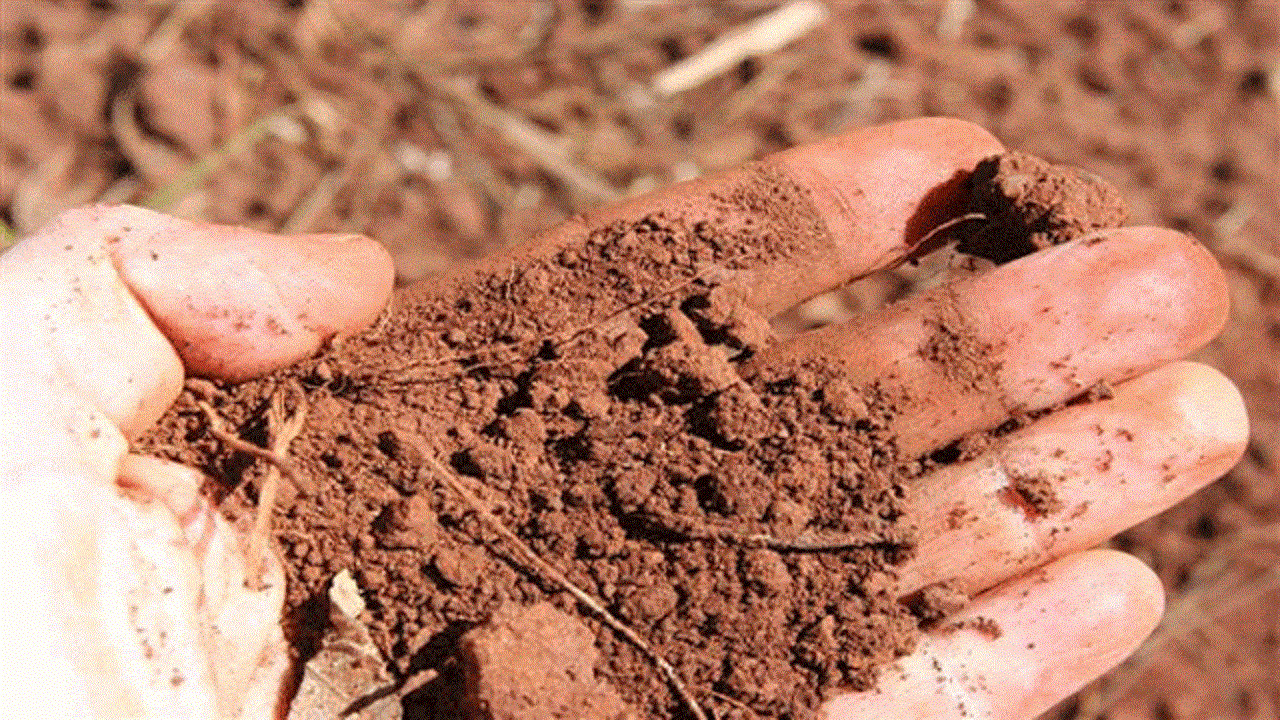 التراب المقدس بدعة إيرانية جديدة للشفاء من كورونا