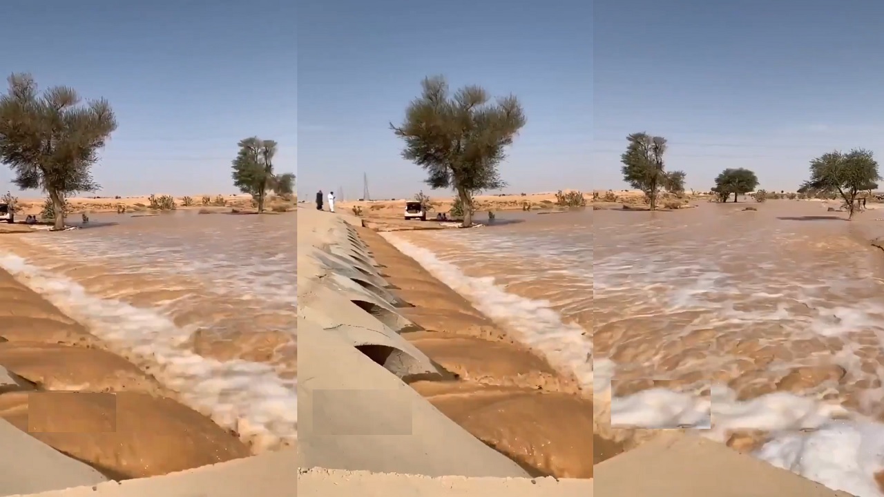 فيديو بديع لتدفق السيول الجارفة بحوطة بني تميم