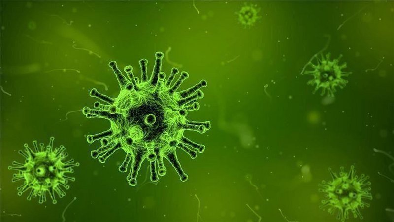 تطوير تطبيق للكشف عن الإصابة بفيروس كورونا