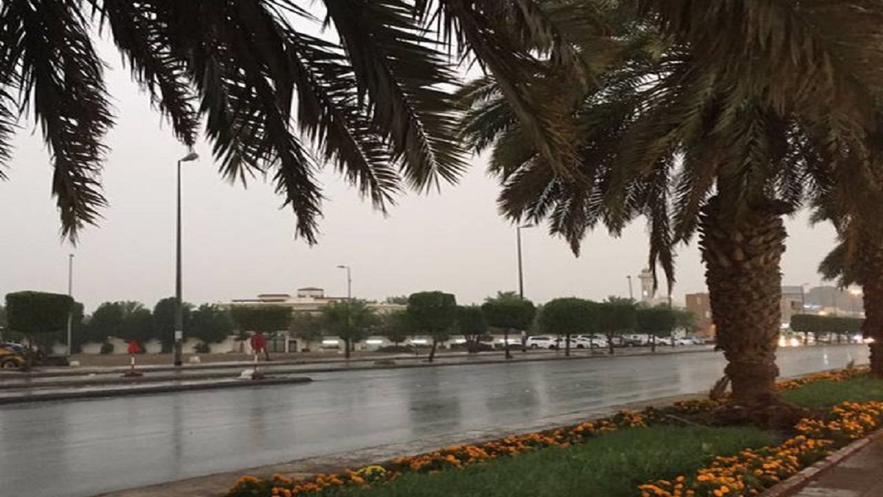 الأرصاد: أمطار رعدية على منطقة المدينة المنورة