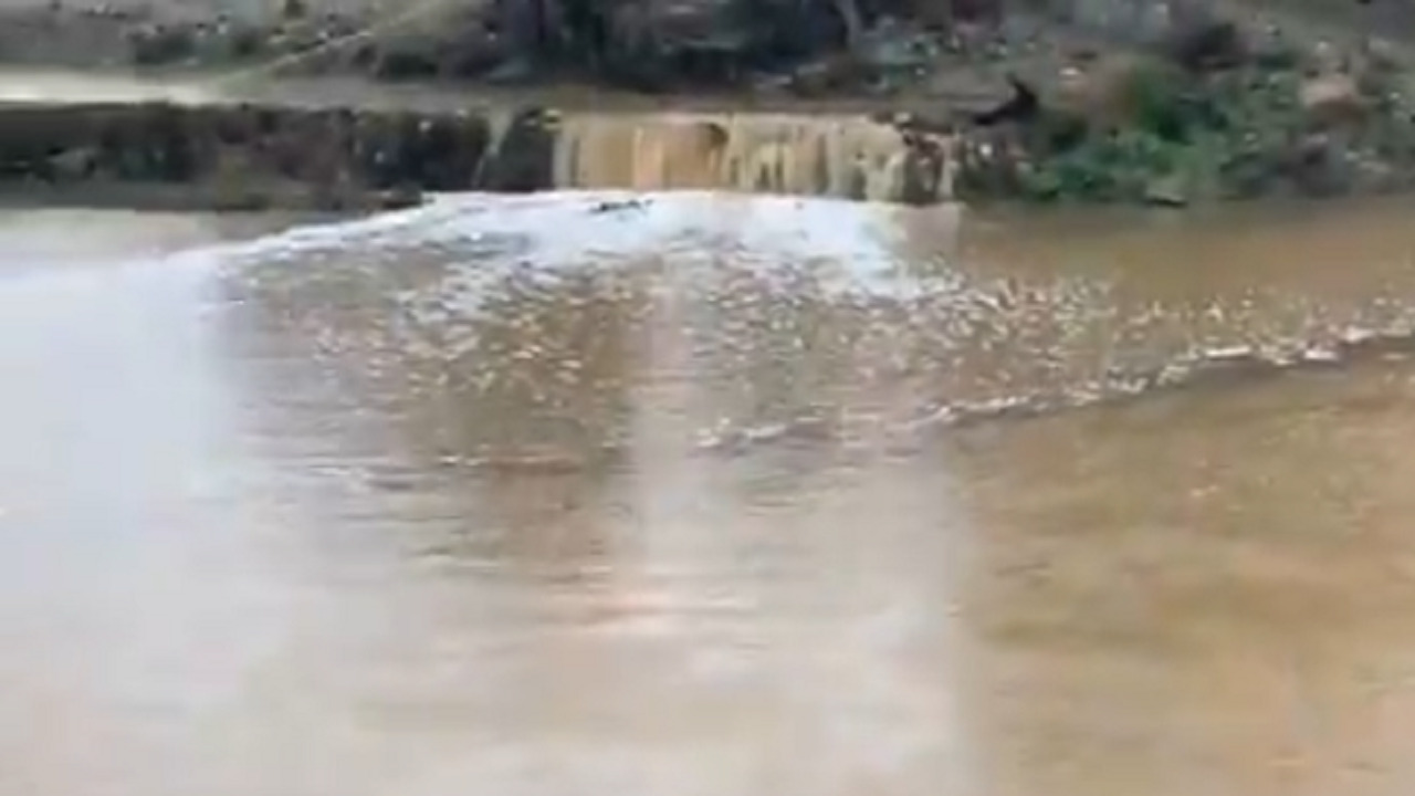 بالفيديو .. السيول تجتاح  بللحمر بمنطقة عسير