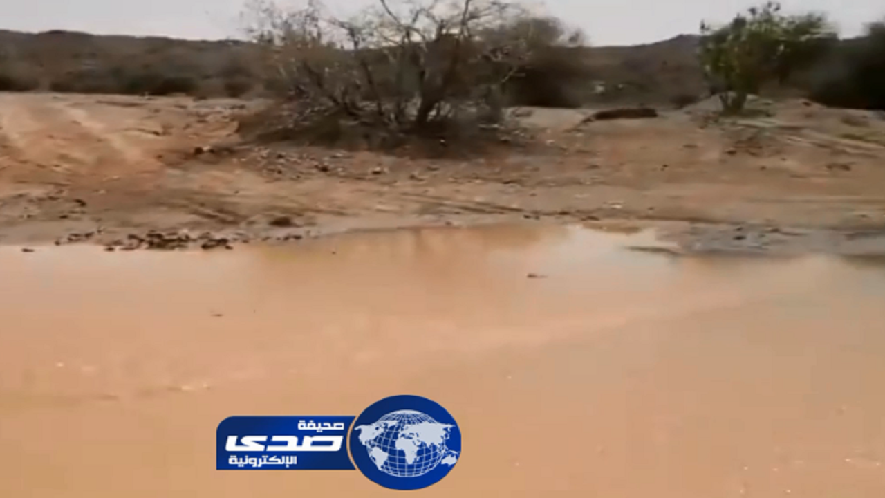 بالفيديو.. سيول في شعيب الخنقة بغرب الرياض