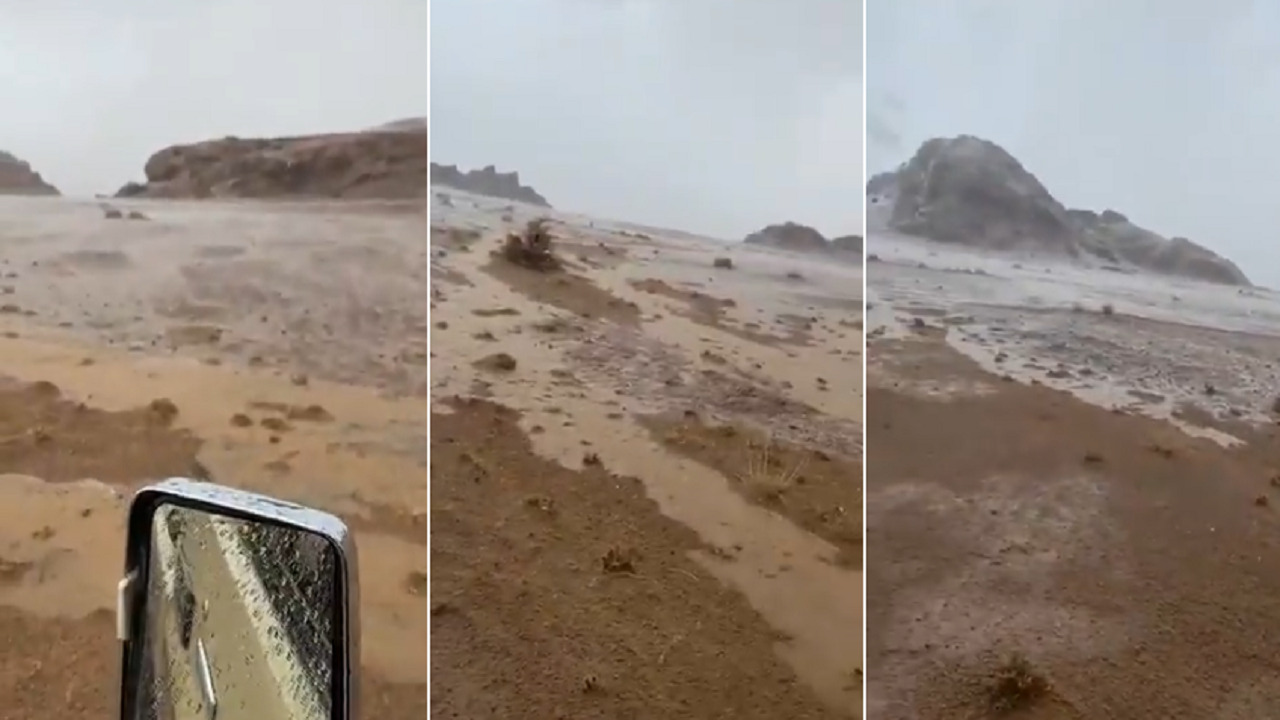 بالفيديو.. أمطار غزيرة على شمال انبوان بحائل⁩
