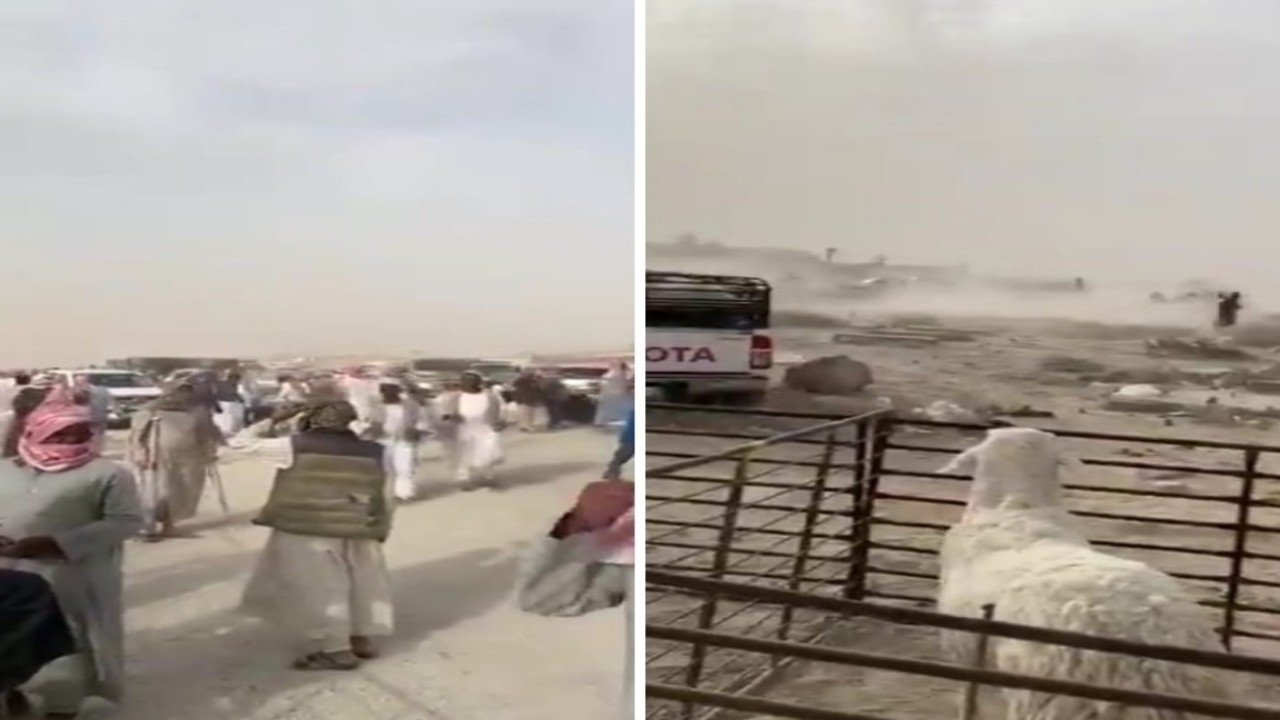 بالفيديو.. كر وفر بعد مداهمة الدوريات لسوق الغنم بالرياض
