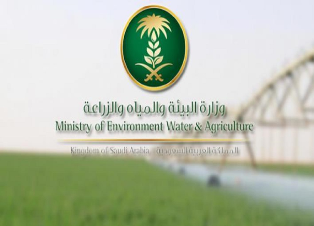 “البيئة” تفسح أكثر 35.7 ألف طن من الخضروات والفاكهة في 8 أبريل