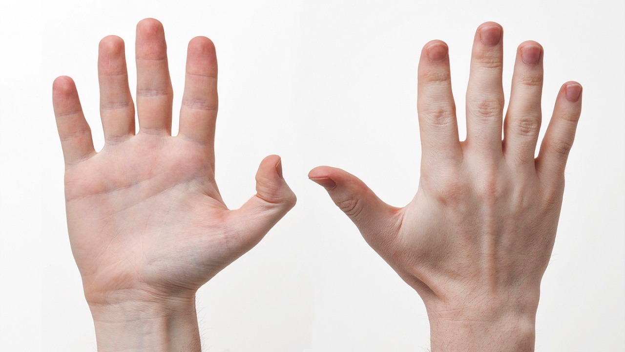 مفاجأة.. الرجال أصحاب الأصابع الطويلة أقل عرضة للإصابة بكورونا