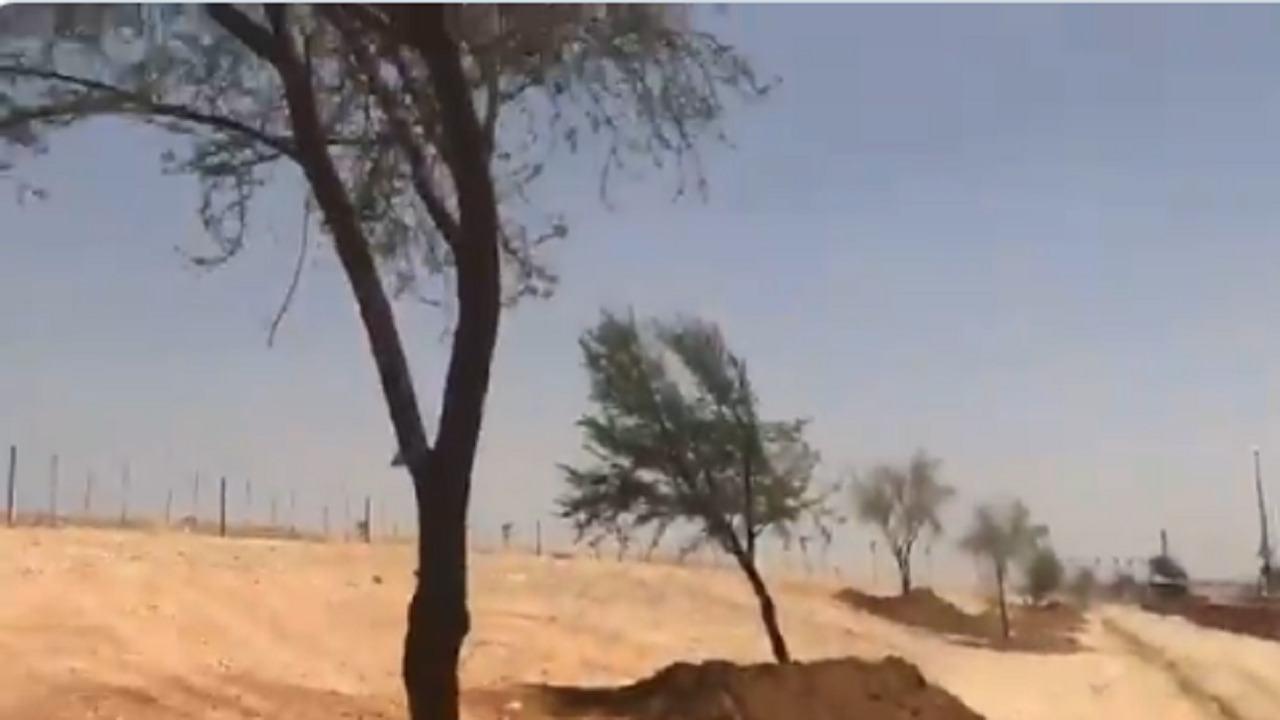 بالفيديو.. زراعة أشجار برية على طريق الملك سلمان بالرياض