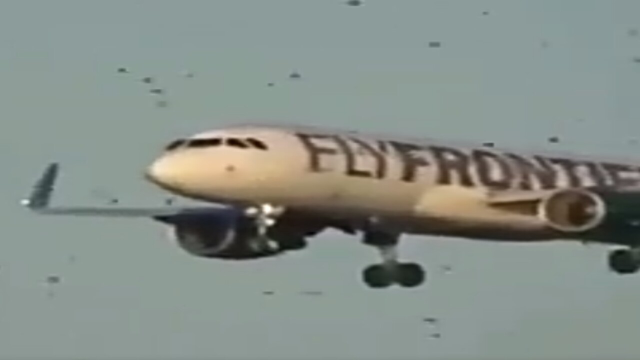 شاهد.. سرب طيور مهاجرة يعترض طائرة أثناء الاقتراب النهائي 