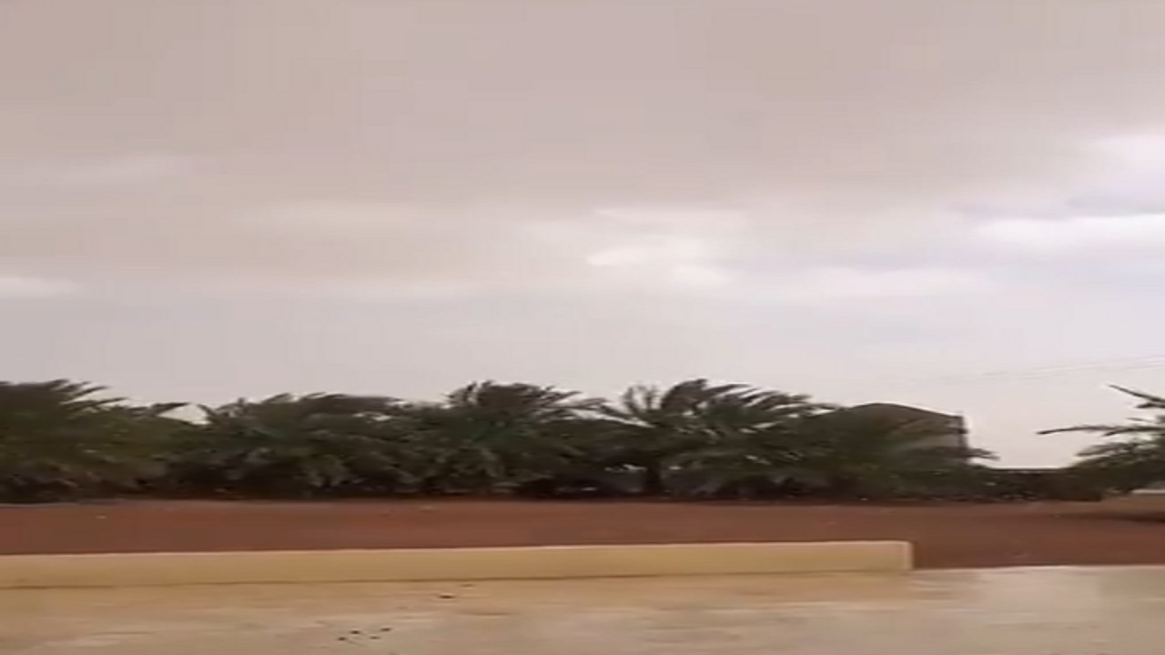 بالفيديو.. أمطار على القاعد بشمال حائل