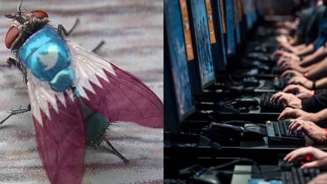 بالفيديو..هكذا يتم توجيه الذباب الإلكتروني القطري لاستهداف المملكة