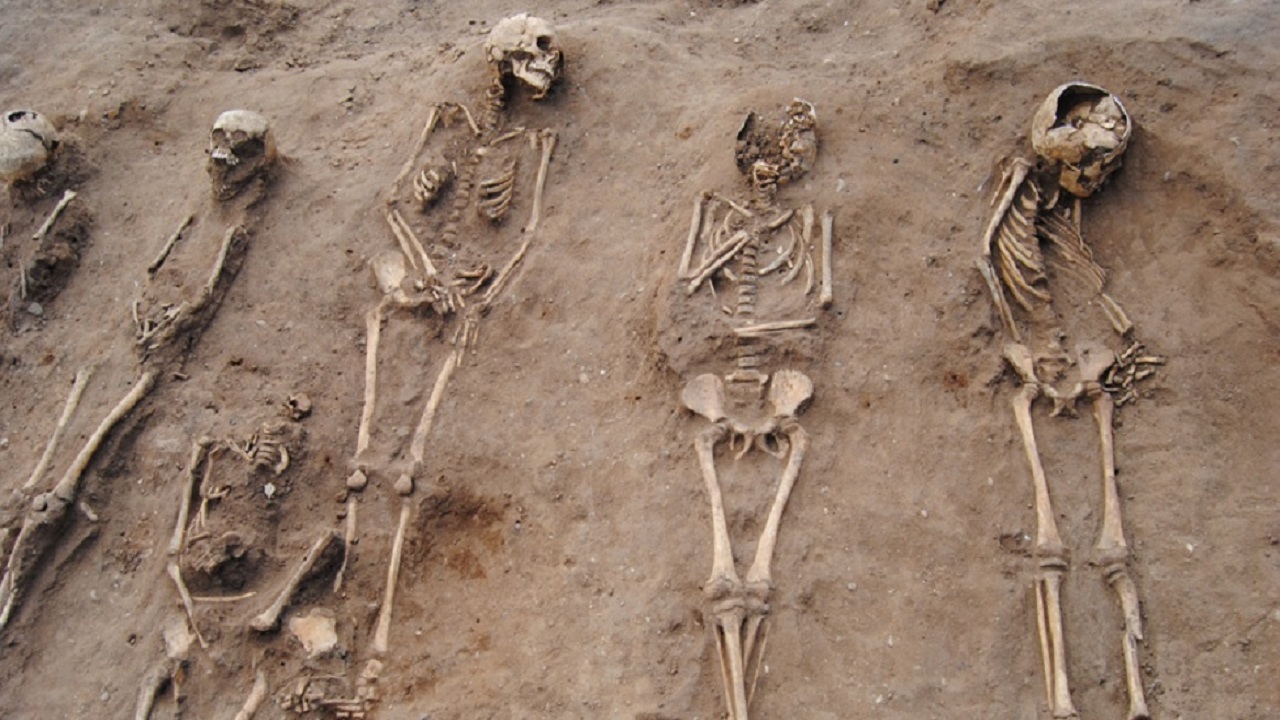 العثور على مقبرة جماعية بتركيا قد تكون لـ &#8221; أكراد &#8221; اختفوا في ظروف غامضة