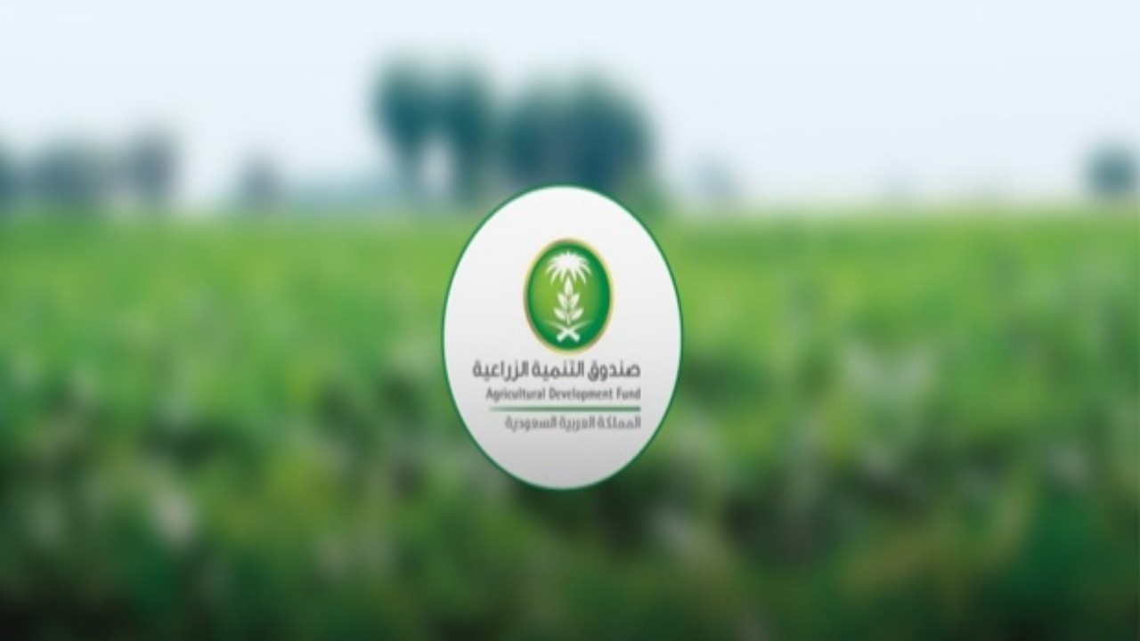 التنمية الزراعية: تمويل 33 مشروعًا زراعيًا وتأجيل أقساط 4398 مستفيداً لتخفيف تداعيات الجائحة