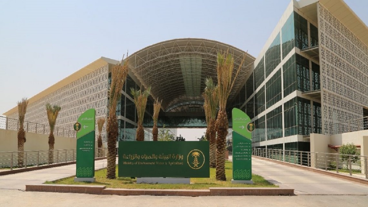 “البيئة” تهيب بالصيادين إلى ضرورة صيانة قواربهم قبل دخول البحر