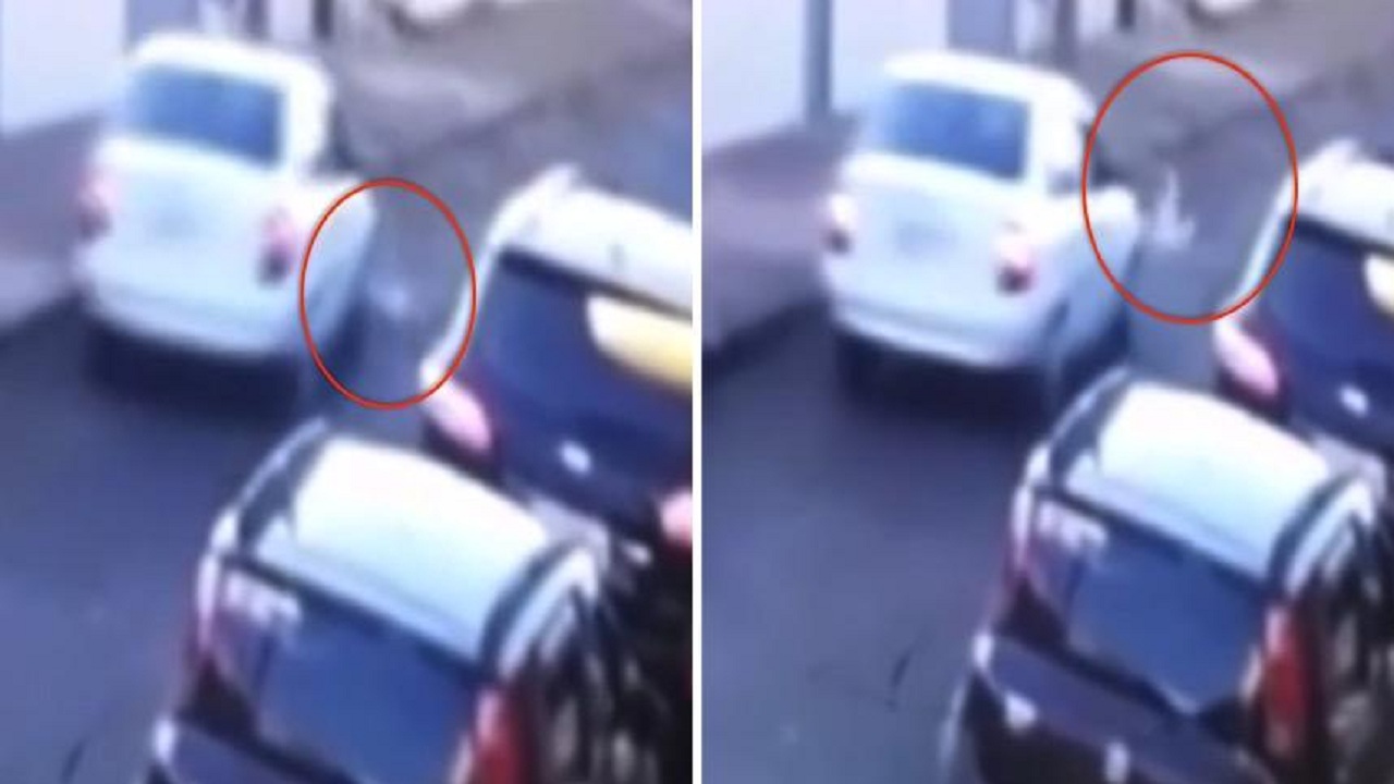 بالفيديو.. معجزة نجاة طفل بعد دهسه بسيارة
