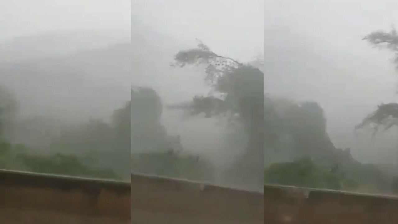 بالفيديو.. عاصفة أمطار غزيرة في جبال فيفاء