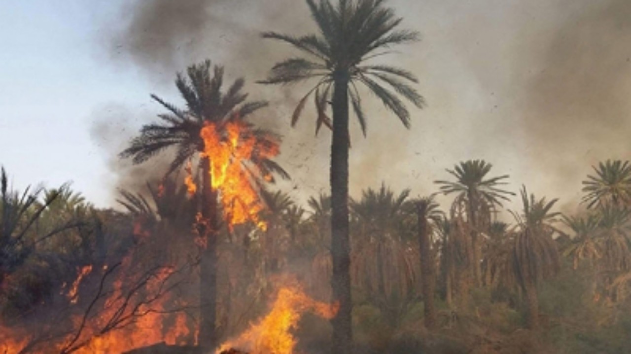 استمرار إطفاء الحرائق بنخيل الحريق