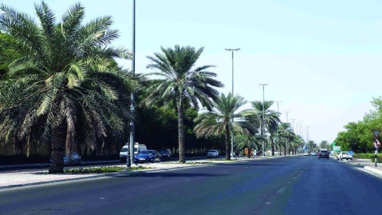 أمانة الرياض تمنع زراعة النخيل بالمجمعات والمولات